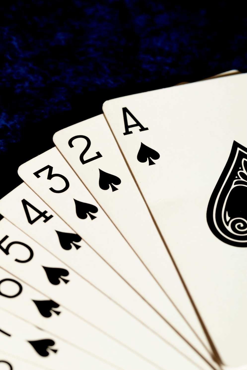 pledoo-casinos.com pledoo-casinos.com